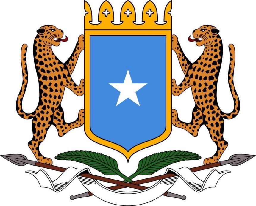 Health Sector
